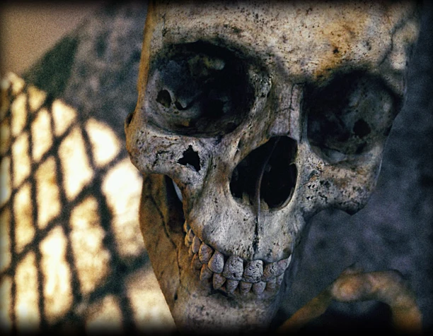 Jolly Roger