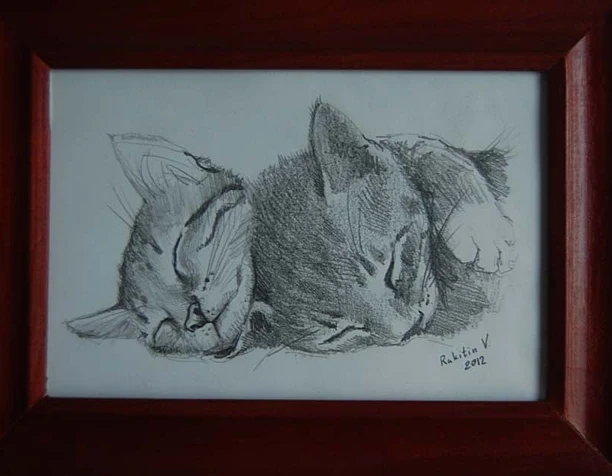 Kitty