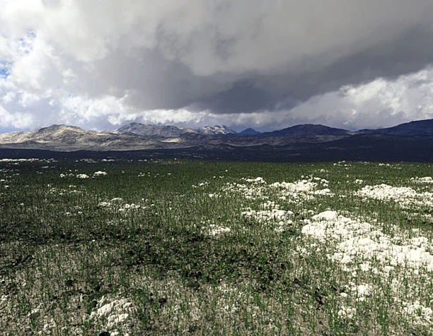 Landscape