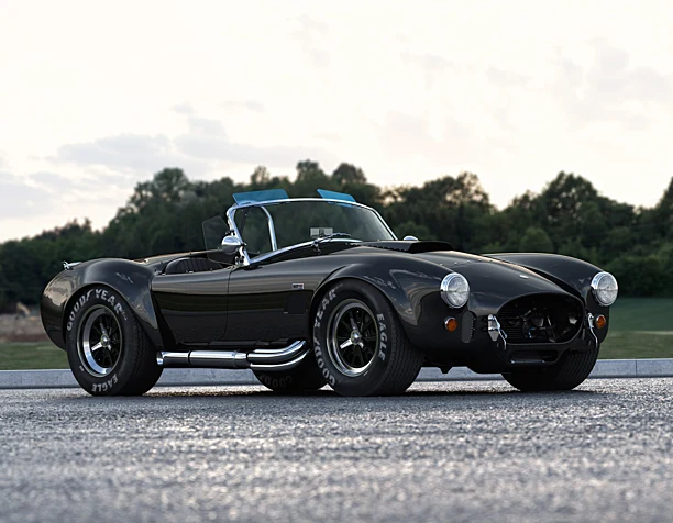 Cobra