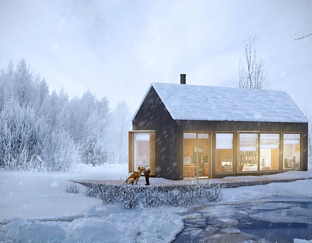Winter in my house