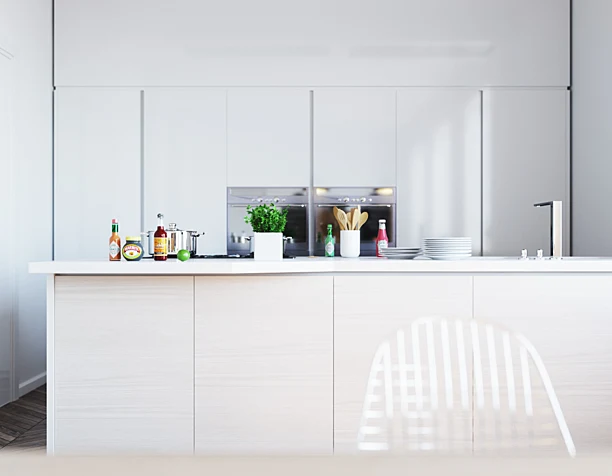 SCANDINAVIAN HI-TECH. KITCHEN.