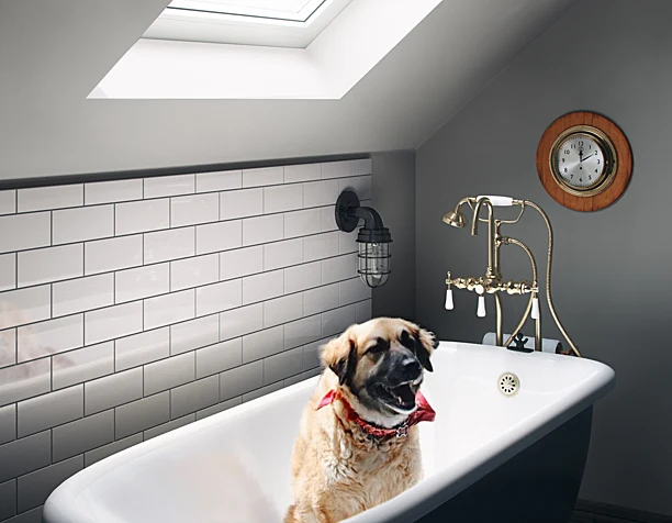 Bath time.