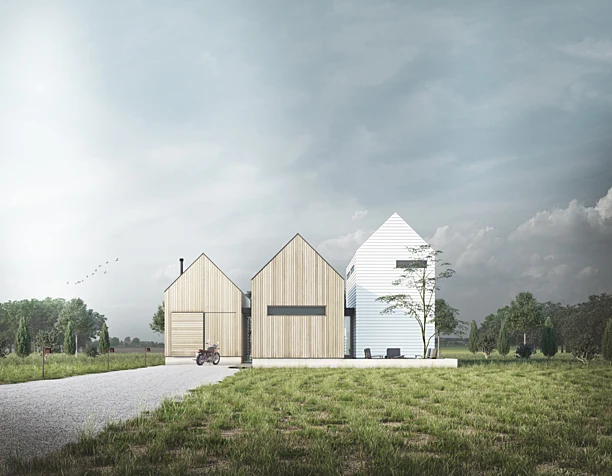 3D Architectural Visualization Cottages. USA