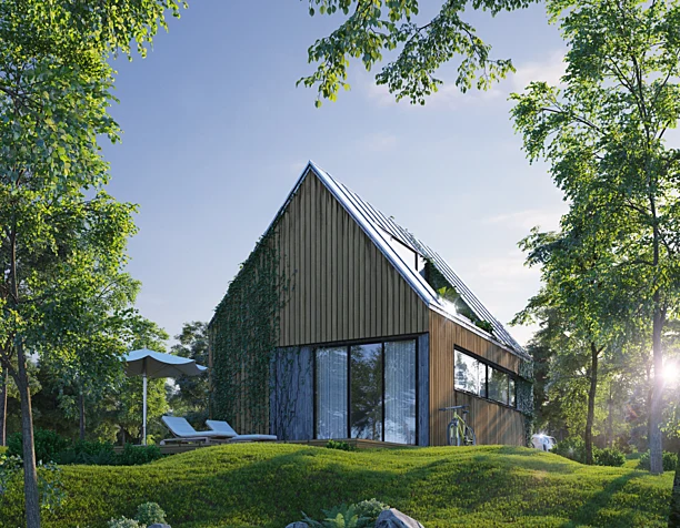 Wood house