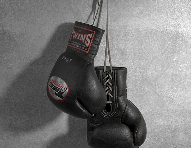 Boxing gloves Twins Special