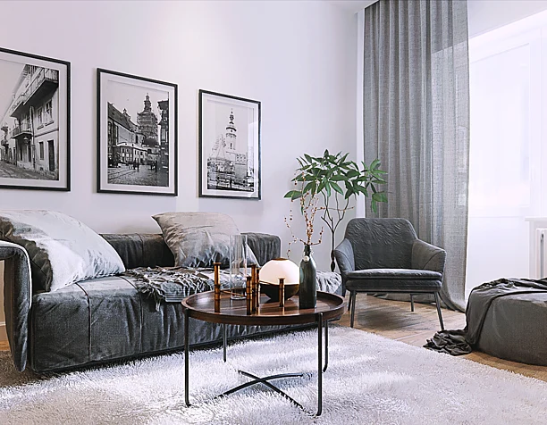 Modern livingroom
