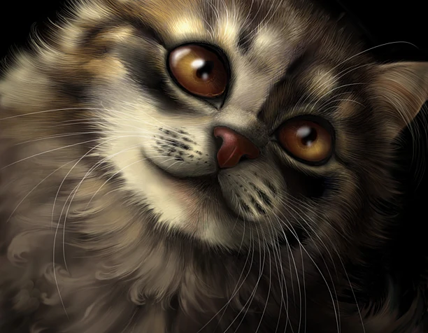Котик