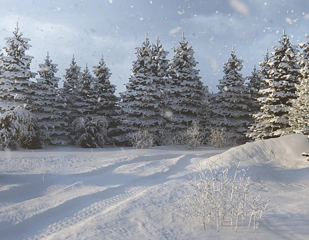 Winter morning