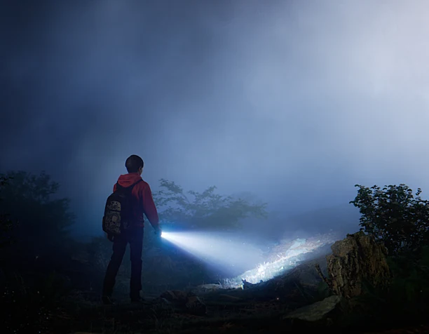 STRANGER THINGS