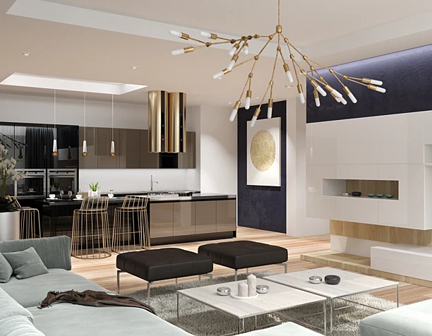 APARTMENT IN KIEV | 2017