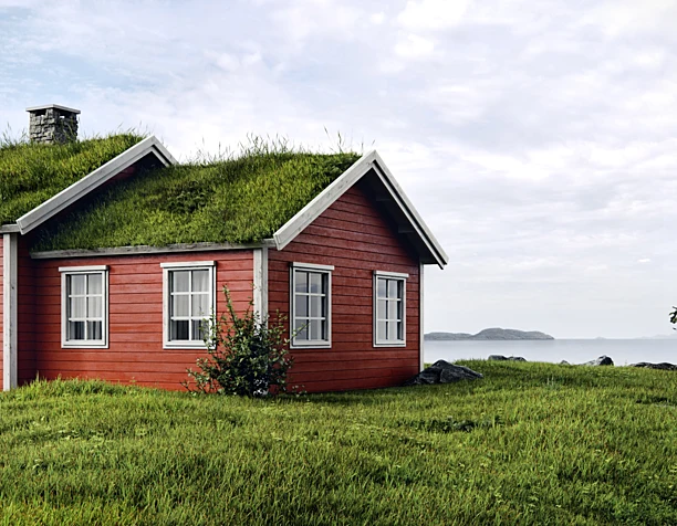 NORWAY. CGI