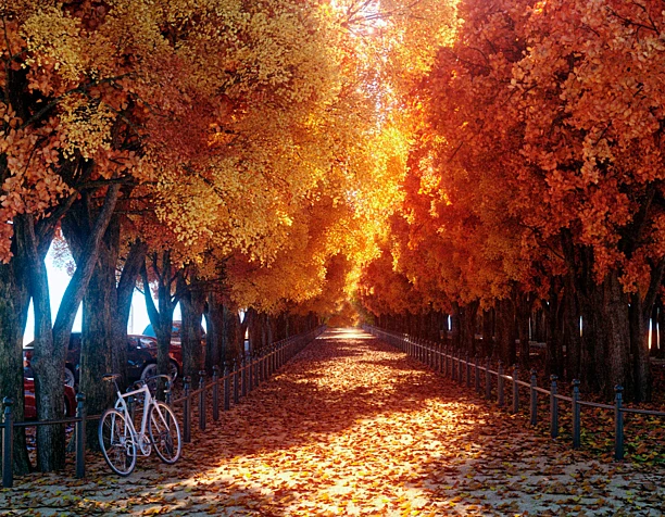 Осень