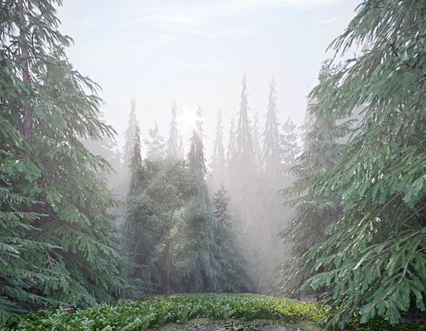 Forest