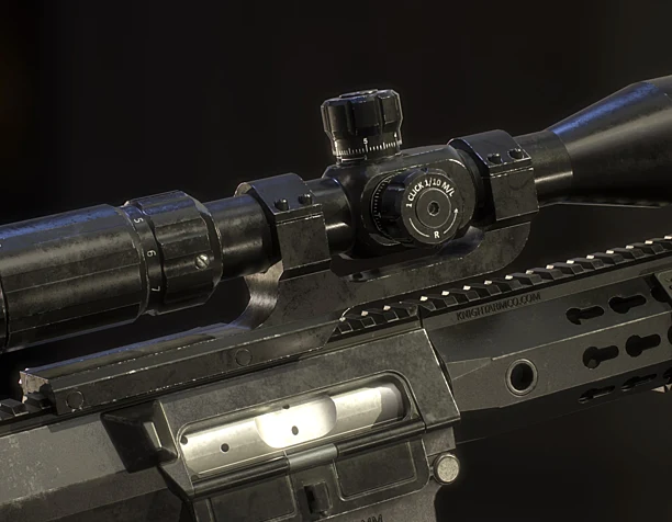 SR25 Rifle