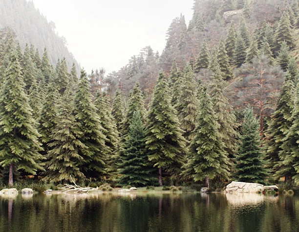 Alone_with_nature