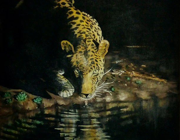"leopard"