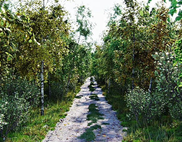 Walk in the forest