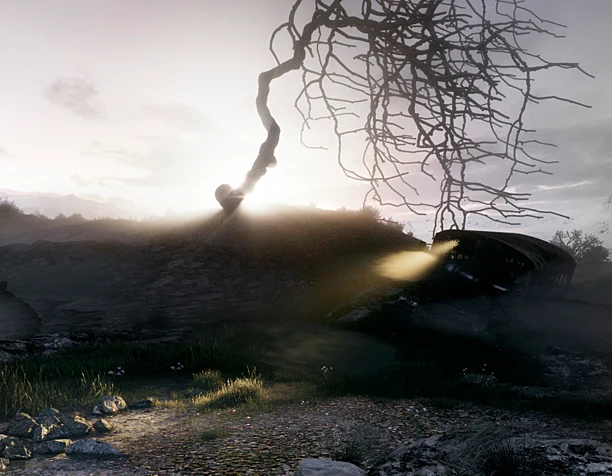 Wasteland regrets