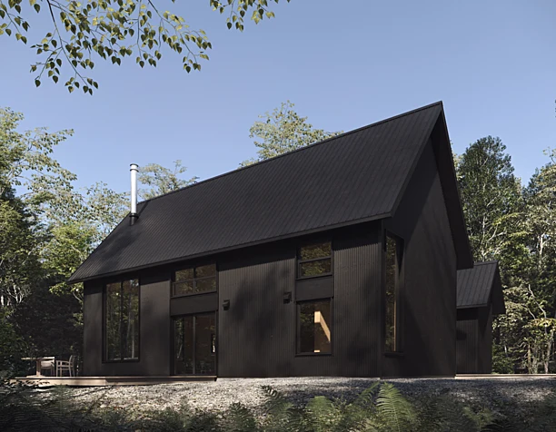 Black cabin (сделано по референсу)