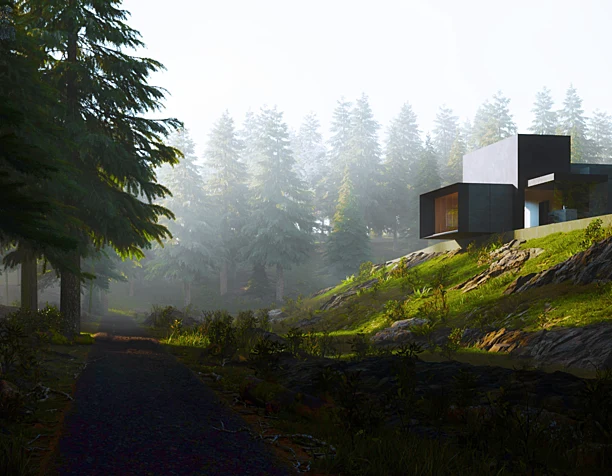 Vacation House in the pine forest.