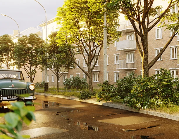 After the rain