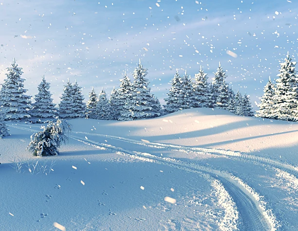 Let it snow)
