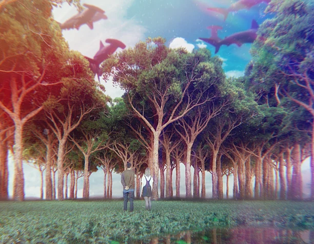 Lucid Dream