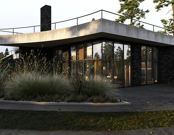 House in Repino, Saint-P