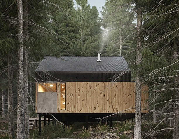 House in the woods (сделано по референсу)