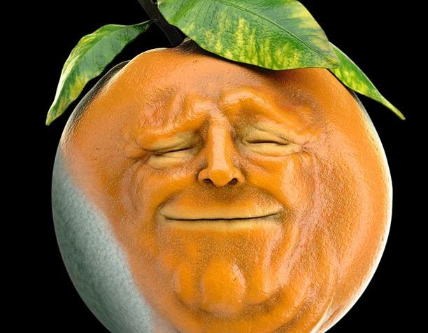 Annoying orange