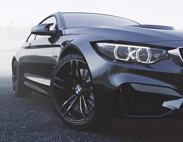 BMW in fog mud