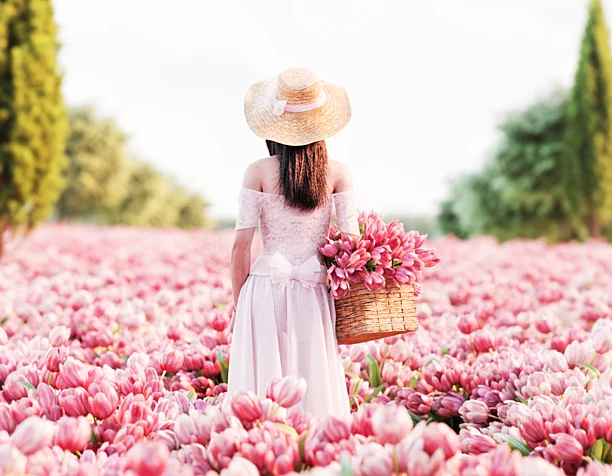 Tulips