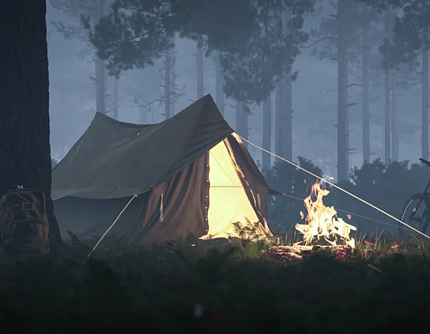 Peace of the forest