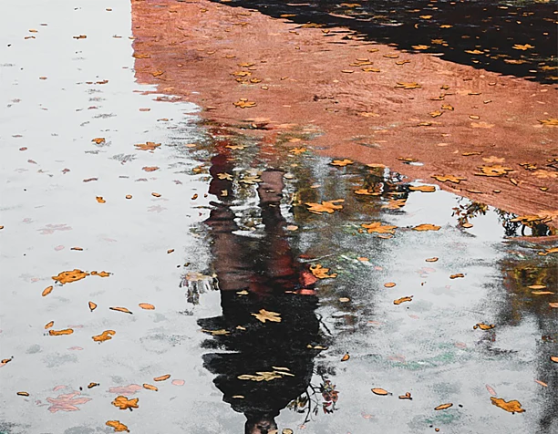 Fall