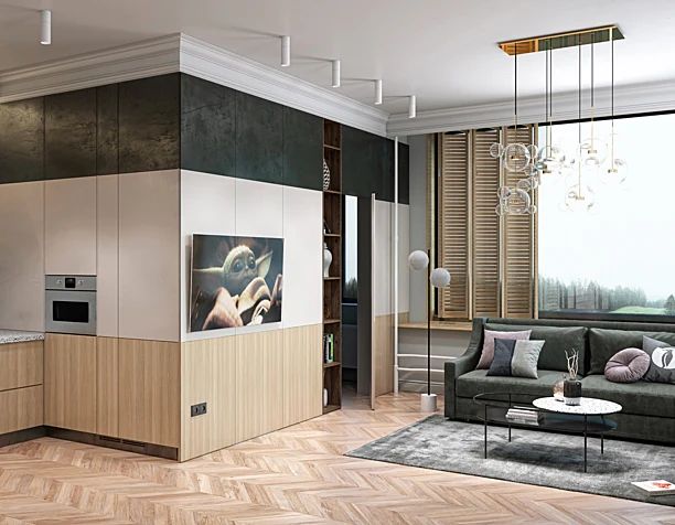 Living room kitchen