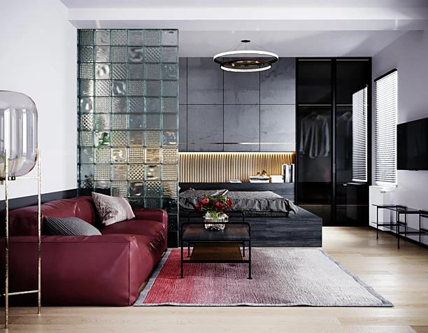 Modern Living-BedRoom