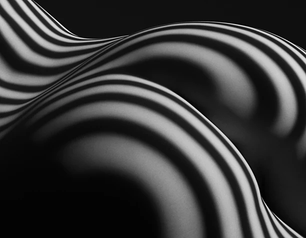 Зебры Lucien Clergue