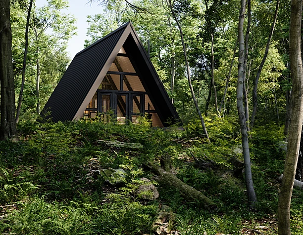A-Frame Фахверк Shalash (сцена Archexteriors)