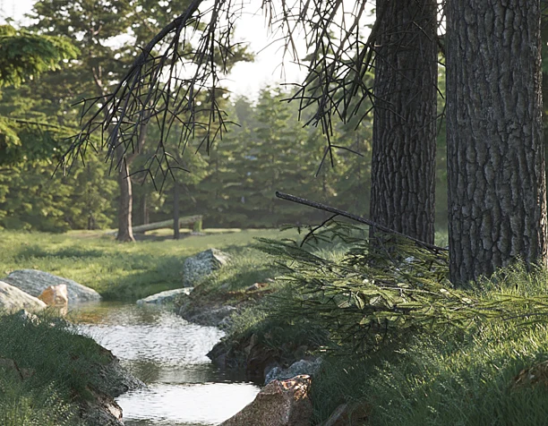 NATURE