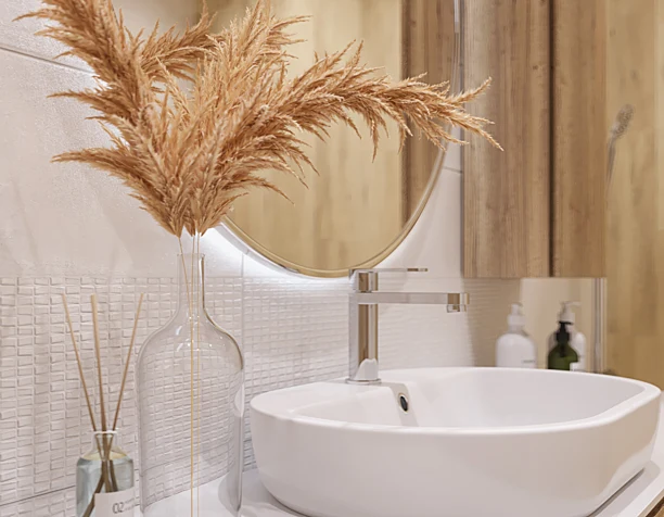Bathroom project