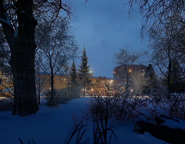 winter animation (lumion testing)