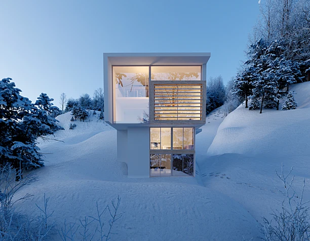 Winter House