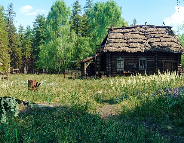 Изба в лесу