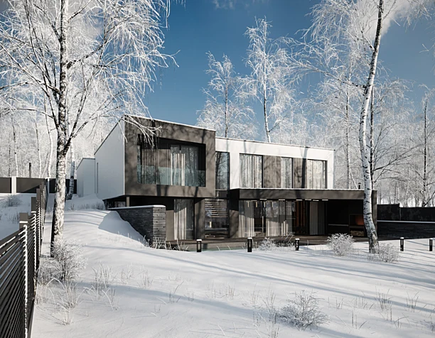 WINTER WOOD
