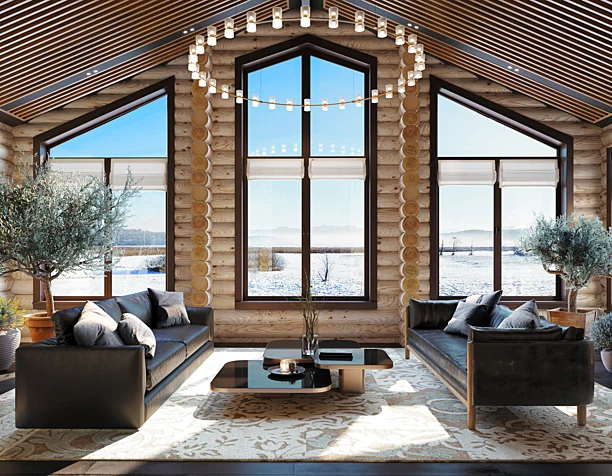 Log house design