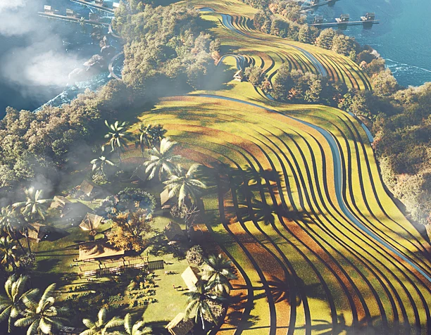 Vietnamese rice fields