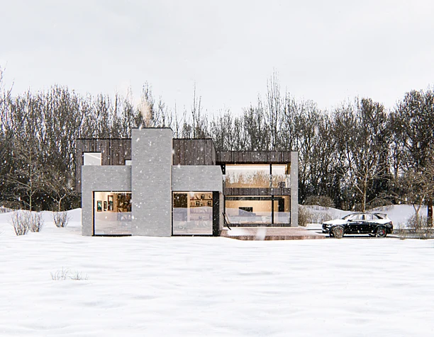 Modern house
