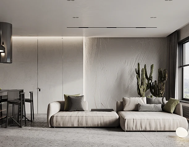 Livingroom and kitchen