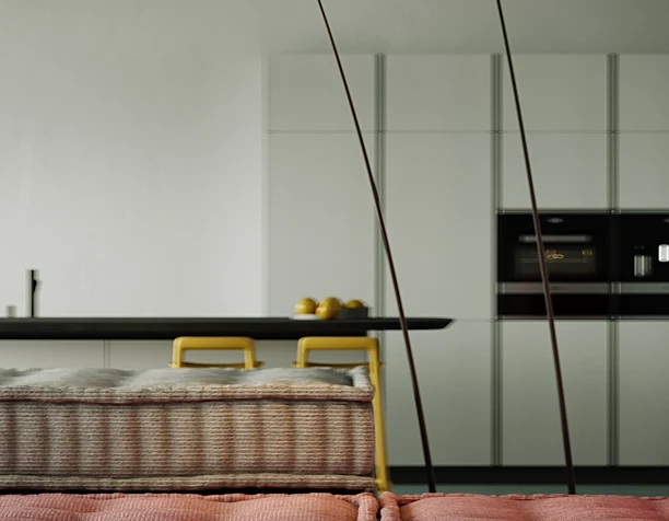 Living-kitchen room